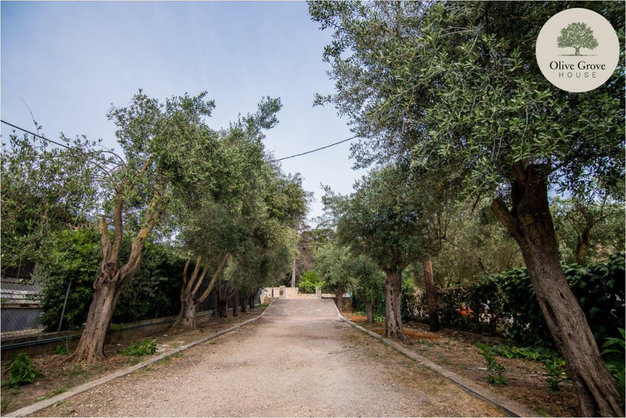 Willa Olive Grove House Argostoli  Zewnętrze zdjęcie