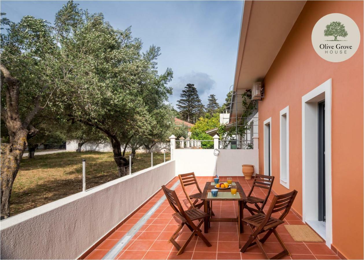 Willa Olive Grove House Argostoli  Zewnętrze zdjęcie